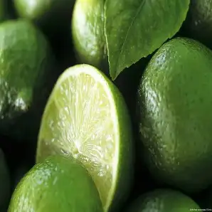 Fresh Green Lemons Export from India – Premium Supplier for Global Importers